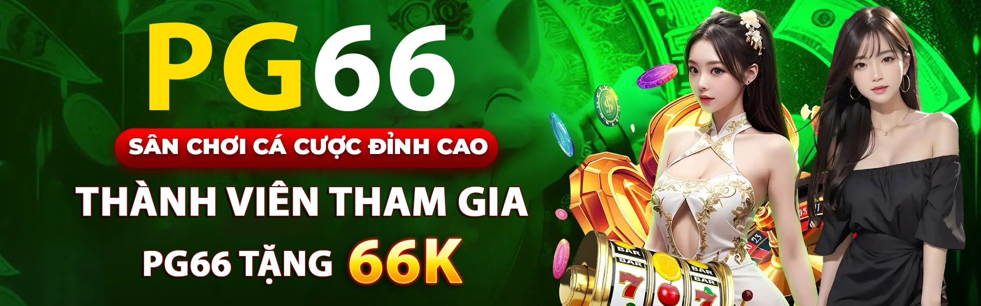 pg66 banner